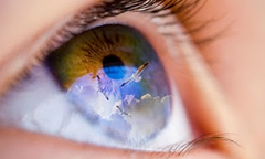 contact lens